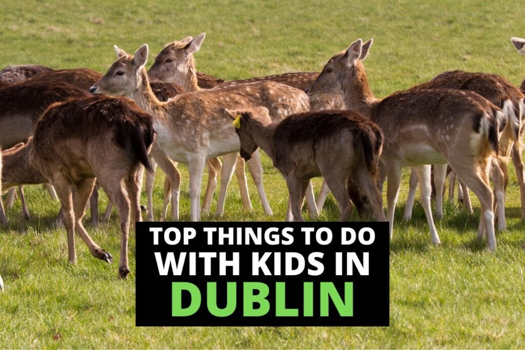 best things to do in dublin with children